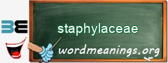 WordMeaning blackboard for staphylaceae